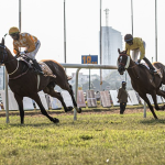 An overview of the 2024 Breeders’ Cup: key dates, locations, and more